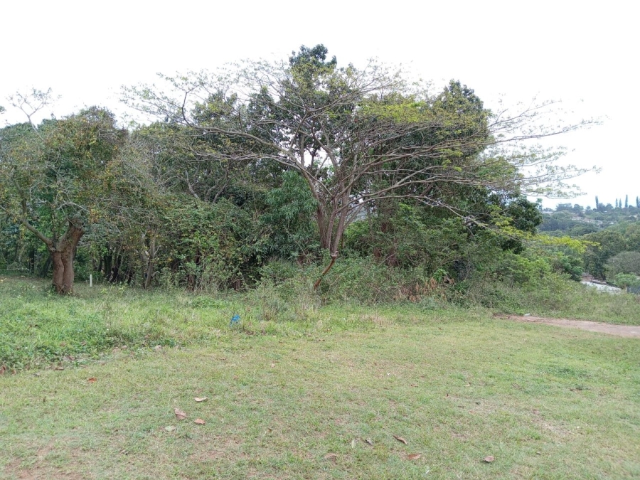 Commercial Property for Sale in Ongoye KwaZulu-Natal