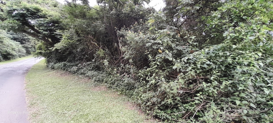 Commercial Property for Sale in Marina Beach KwaZulu-Natal