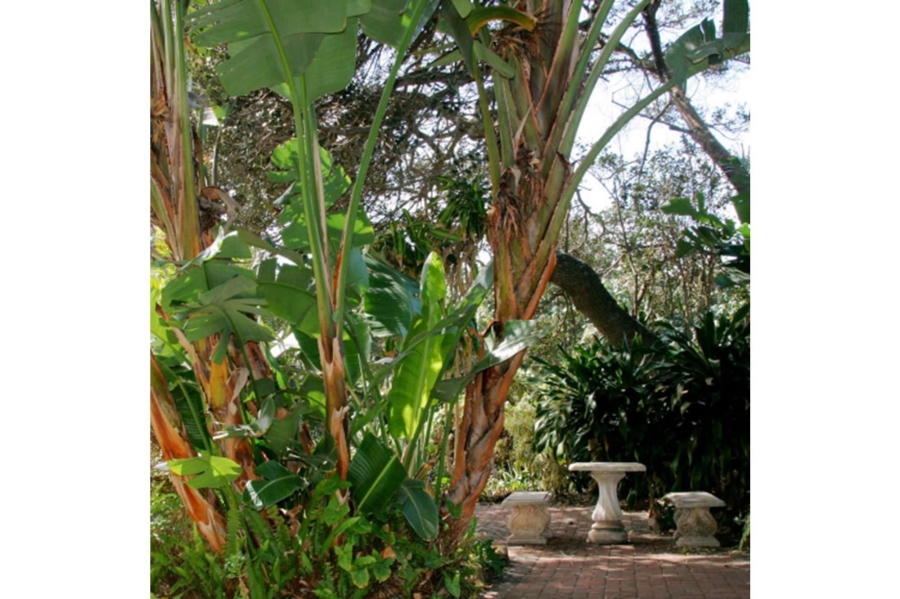 3 Bedroom Property for Sale in Ramsgate KwaZulu-Natal
