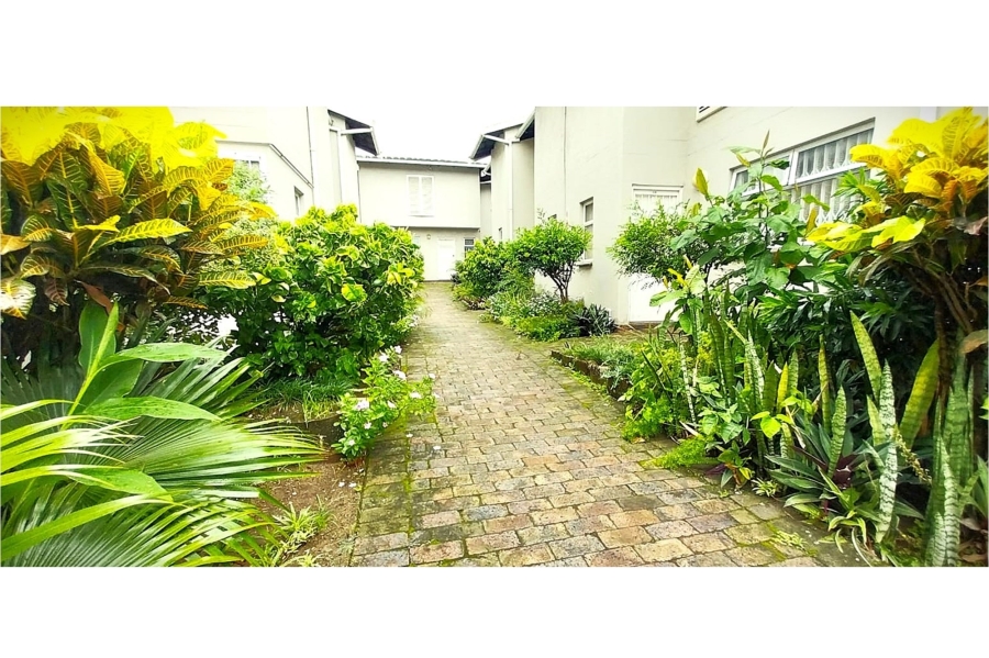 To Let 3 Bedroom Property for Rent in Bulwer KwaZulu-Natal