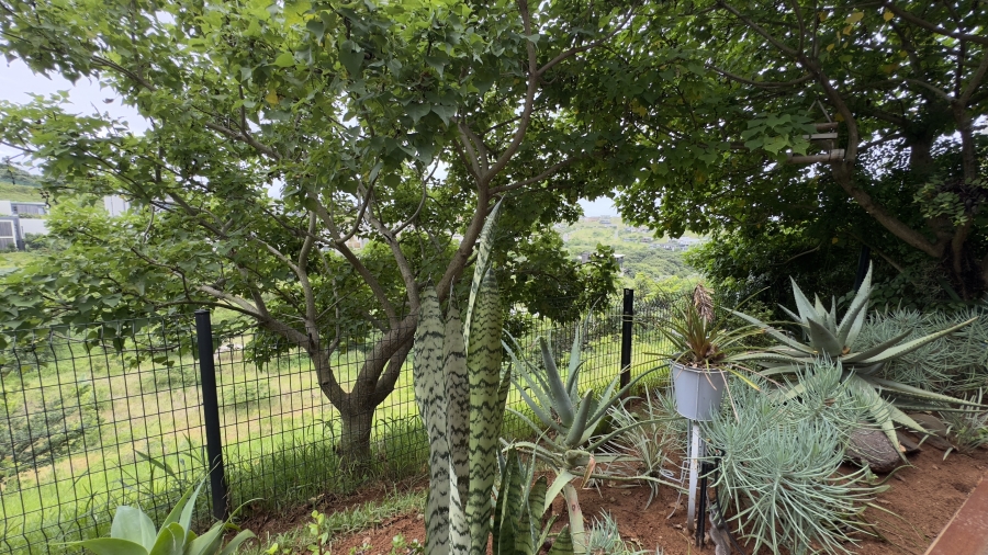 To Let 2 Bedroom Property for Rent in Zululami Coastal Estate KwaZulu-Natal