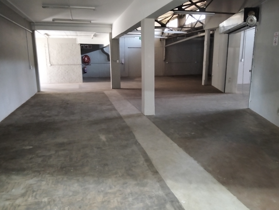 To Let commercial Property for Rent in Congella KwaZulu-Natal