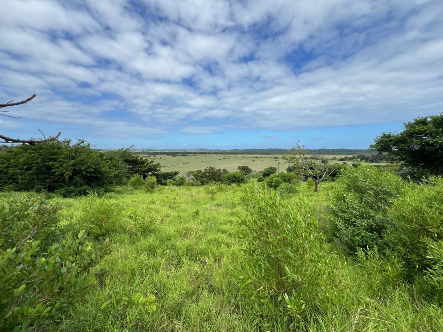0 Bedroom Property for Sale in Zini River Estate KwaZulu-Natal
