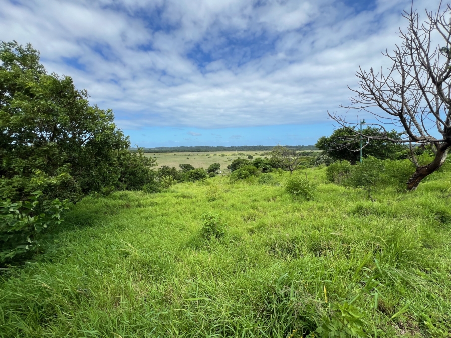 0 Bedroom Property for Sale in Zini River Estate KwaZulu-Natal