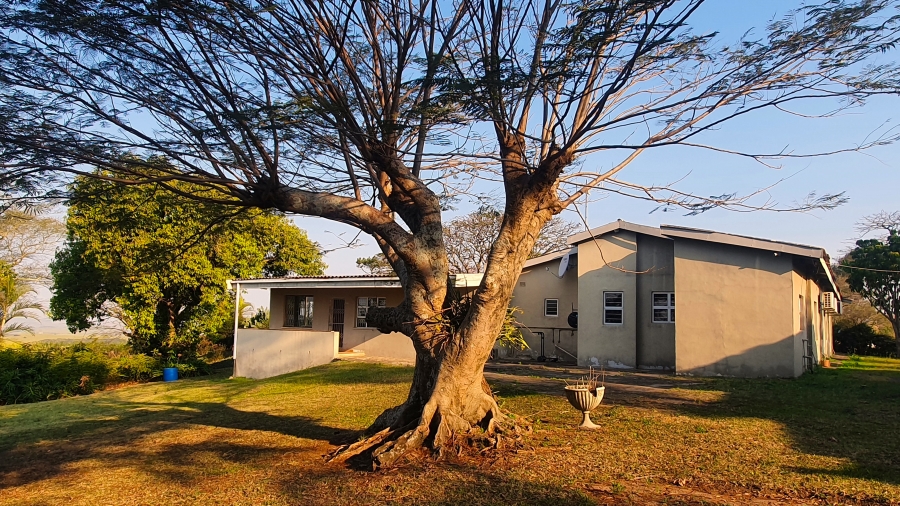 4 Bedroom Property for Sale in Mandeni KwaZulu-Natal