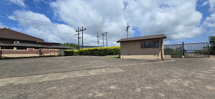 To Let commercial Property for Rent in Cato Ridge KwaZulu-Natal