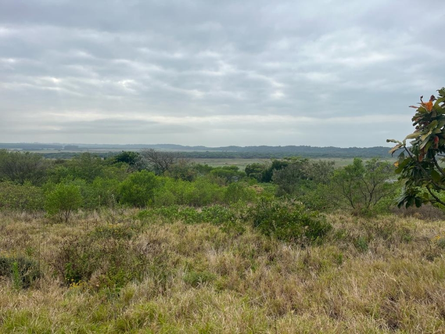 0 Bedroom Property for Sale in Zini River Estate KwaZulu-Natal