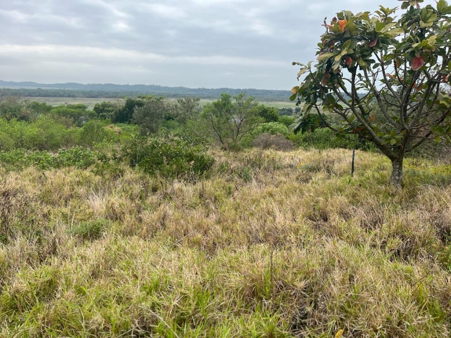 0 Bedroom Property for Sale in Zini River Estate KwaZulu-Natal