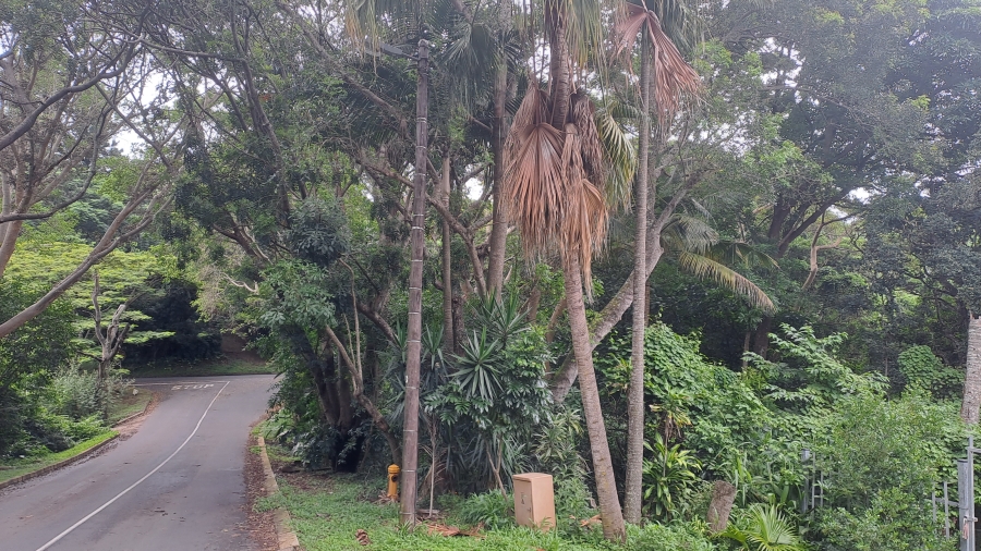 0 Bedroom Property for Sale in Salt Rock KwaZulu-Natal