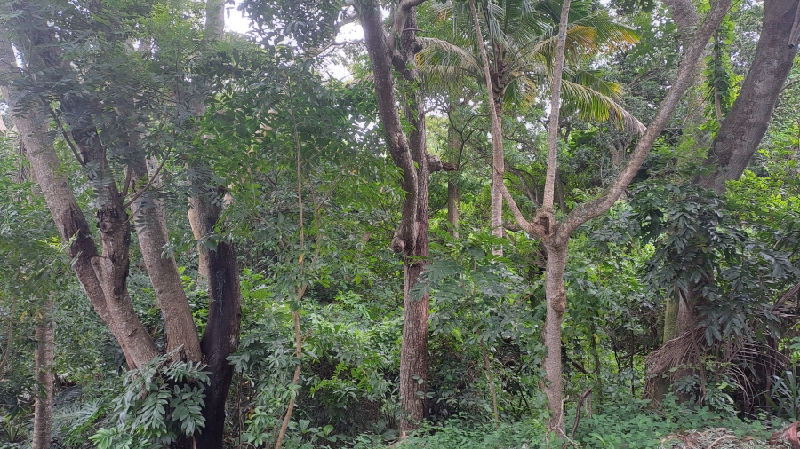 0 Bedroom Property for Sale in Salt Rock KwaZulu-Natal