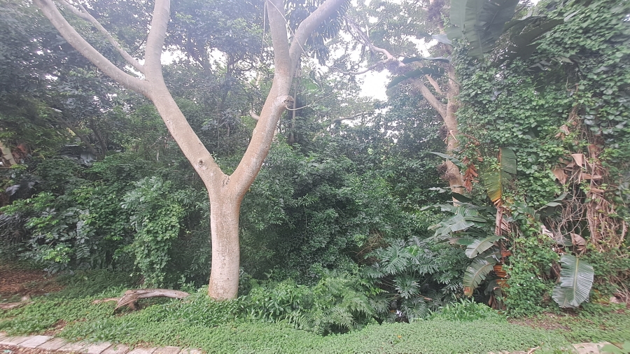 0 Bedroom Property for Sale in Salt Rock KwaZulu-Natal