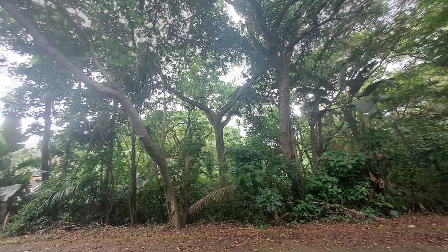 0 Bedroom Property for Sale in Salt Rock KwaZulu-Natal