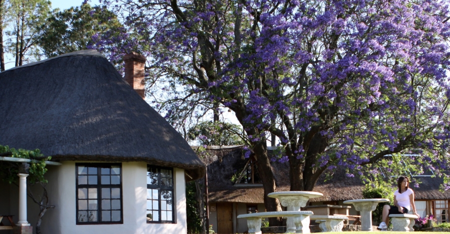19 Bedroom Property for Sale in Emakhekheni KwaZulu-Natal