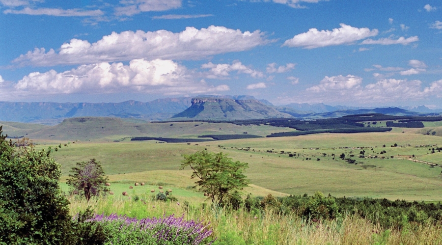 19 Bedroom Property for Sale in Emakhekheni KwaZulu-Natal