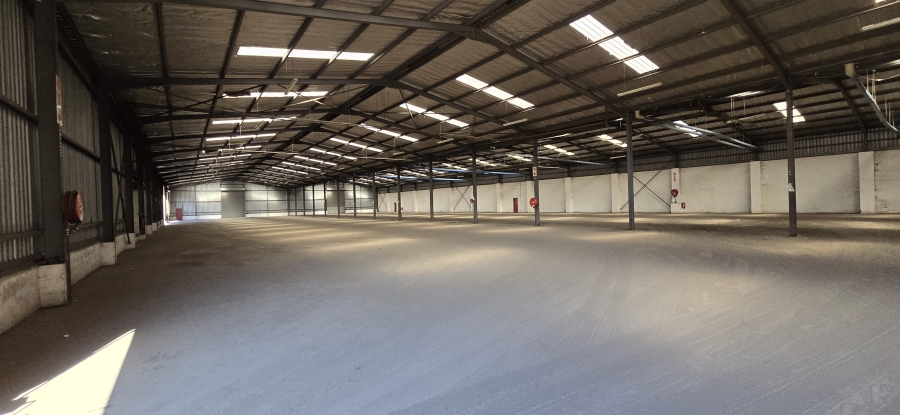 To Let commercial Property for Rent in Cato Ridge KwaZulu-Natal