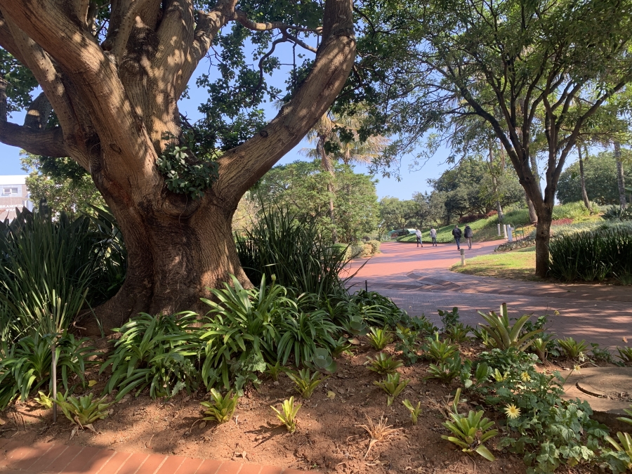Commercial Property for Sale in La Lucia KwaZulu-Natal