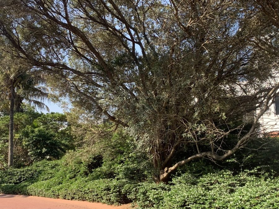 Commercial Property for Sale in La Lucia KwaZulu-Natal