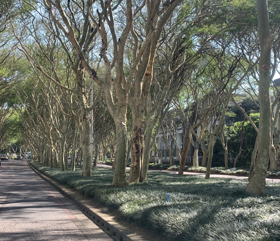 Commercial Property for Sale in La Lucia KwaZulu-Natal
