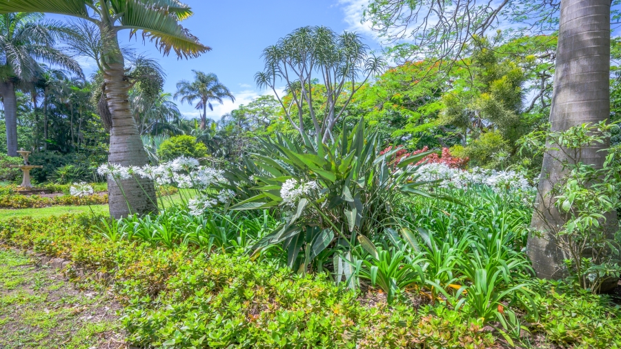 3 Bedroom Property for Sale in Ballito Central KwaZulu-Natal