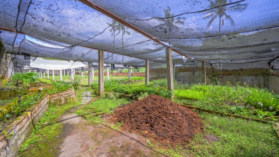 3 Bedroom Property for Sale in Ballito Central KwaZulu-Natal