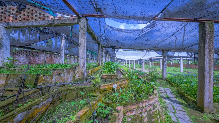 3 Bedroom Property for Sale in Ballito Central KwaZulu-Natal