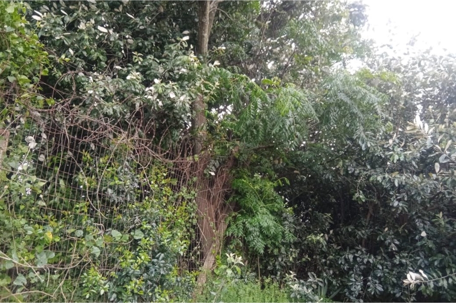 0 Bedroom Property for Sale in Mobeni Heights KwaZulu-Natal