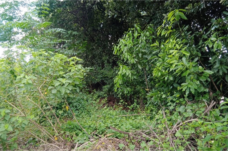 0 Bedroom Property for Sale in Mobeni Heights KwaZulu-Natal