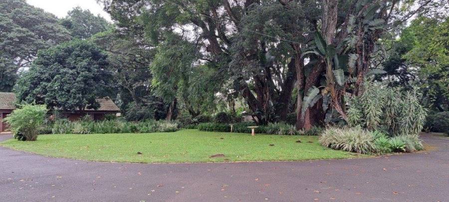 1 Bedroom Property for Sale in Gillitts KwaZulu-Natal