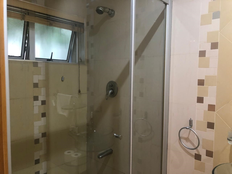 To Let 3 Bedroom Property for Rent in Musgrave KwaZulu-Natal