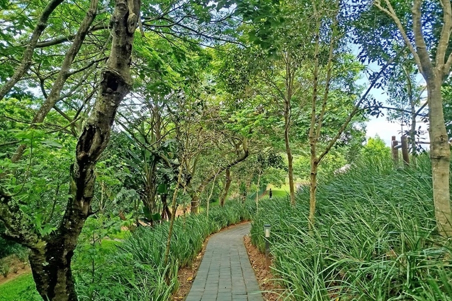 2 Bedroom Property for Sale in Seaward Estate KwaZulu-Natal