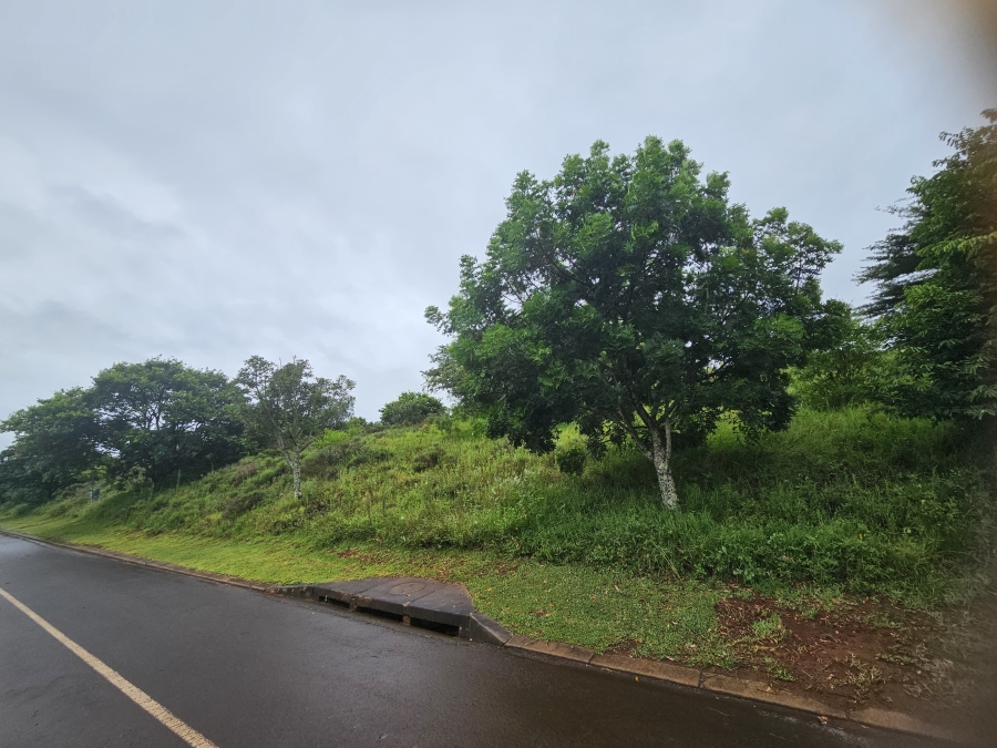 0 Bedroom Property for Sale in Zini River Estate KwaZulu-Natal