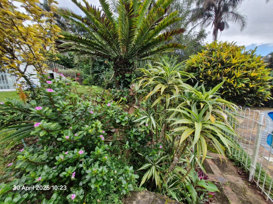 To Let 4 Bedroom Property for Rent in Westville Central KwaZulu-Natal