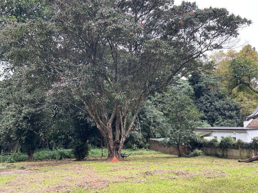 4 Bedroom Property for Sale in Boughton KwaZulu-Natal