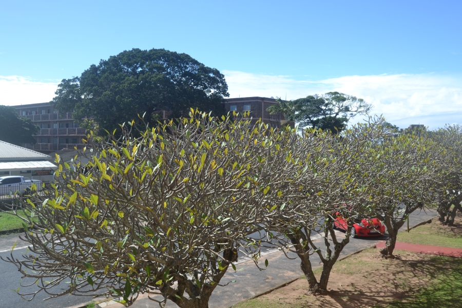 1 Bedroom Property for Sale in Scottburgh Central KwaZulu-Natal