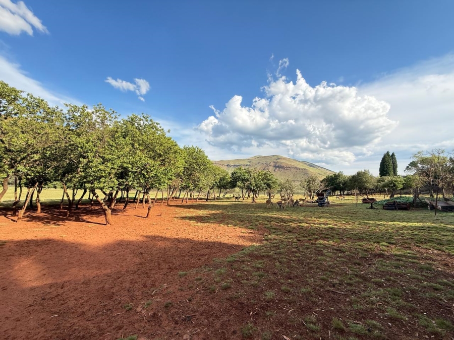 15 Bedroom Property for Sale in Newcastle Rural KwaZulu-Natal