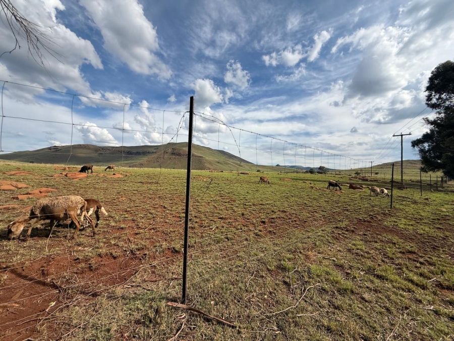 15 Bedroom Property for Sale in Newcastle Rural KwaZulu-Natal