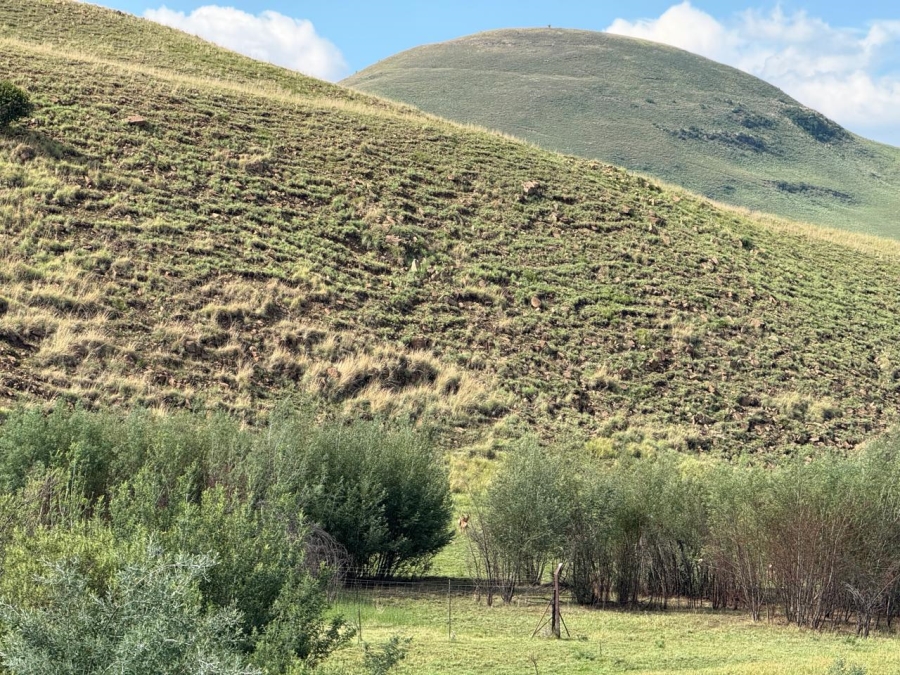 15 Bedroom Property for Sale in Newcastle Rural KwaZulu-Natal