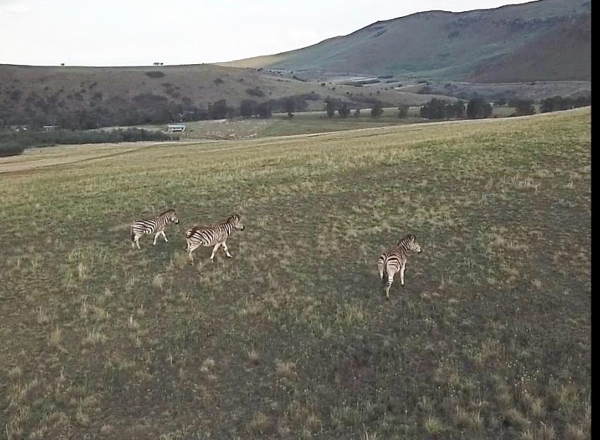 15 Bedroom Property for Sale in Newcastle Rural KwaZulu-Natal