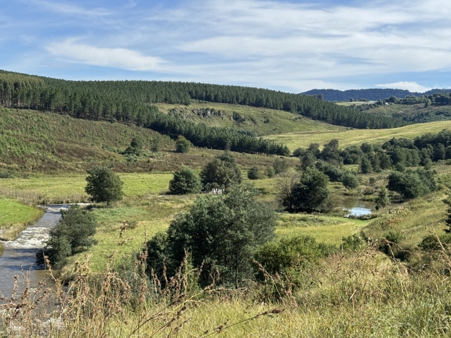 5 Bedroom Property for Sale in Dargle KwaZulu-Natal
