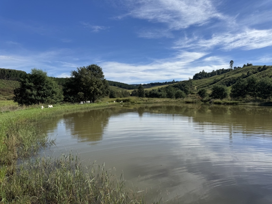 5 Bedroom Property for Sale in Dargle KwaZulu-Natal