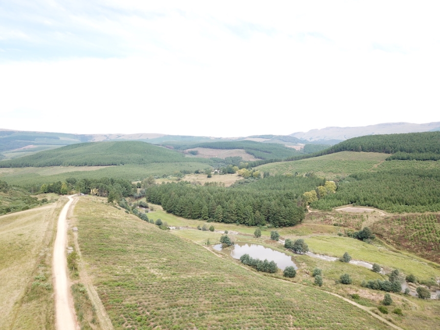 5 Bedroom Property for Sale in Dargle KwaZulu-Natal