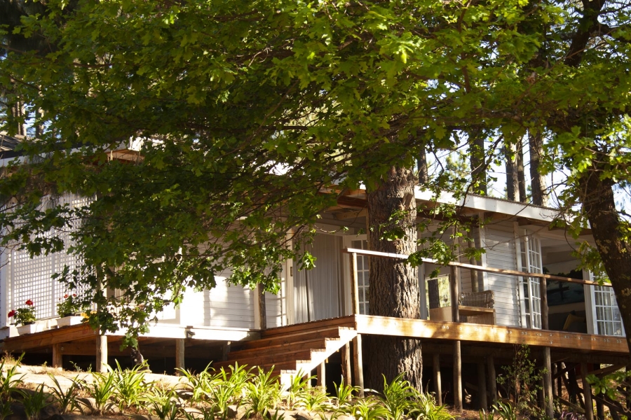 5 Bedroom Property for Sale in Dargle KwaZulu-Natal