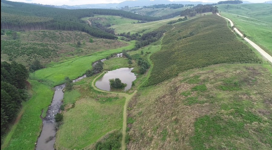 2 Bedroom Property for Sale in Dargle KwaZulu-Natal