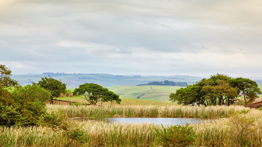 To Let 3 Bedroom Property for Rent in Ballito Central KwaZulu-Natal