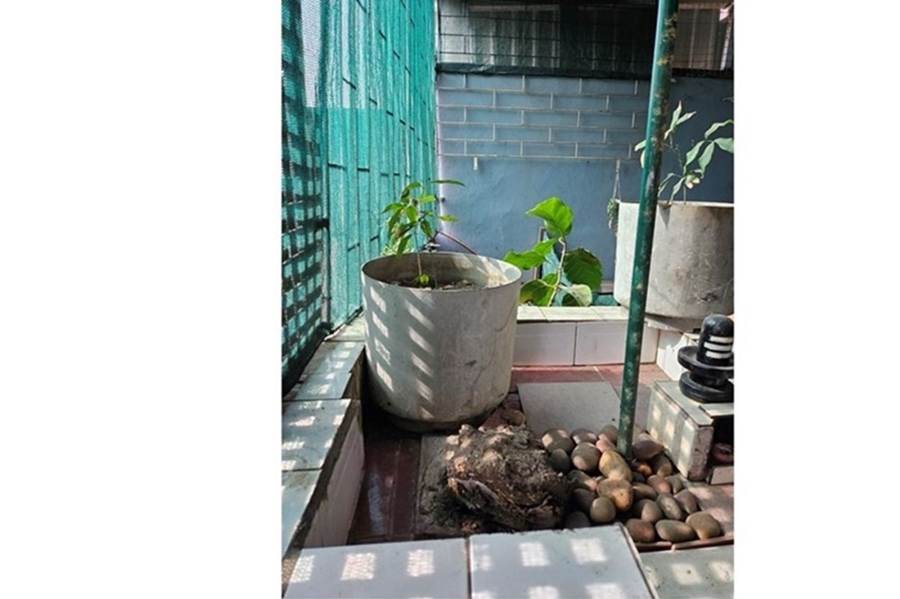 To Let 3 Bedroom Property for Rent in Northcroft KwaZulu-Natal