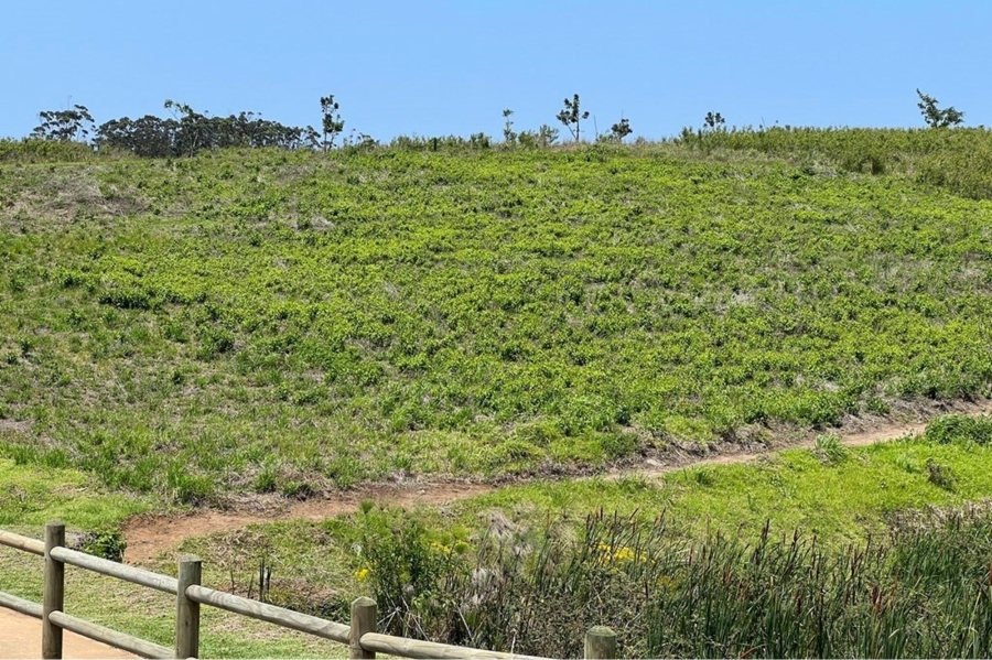 0 Bedroom Property for Sale in Springvale Country Estate KwaZulu-Natal