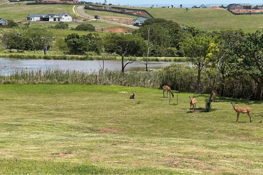 0 Bedroom Property for Sale in Springvale Country Estate KwaZulu-Natal