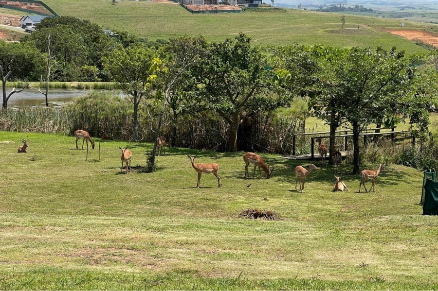 0 Bedroom Property for Sale in Springvale Country Estate KwaZulu-Natal