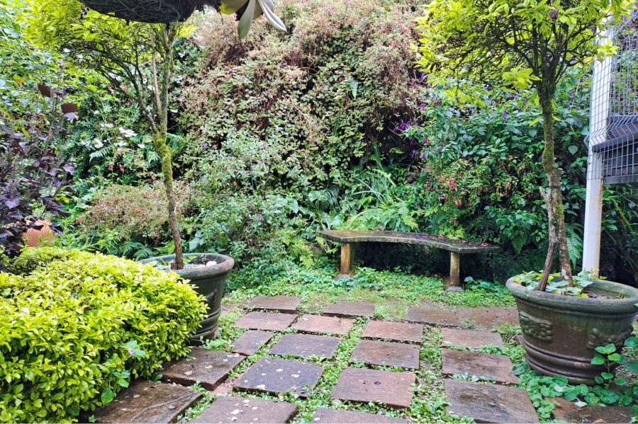 To Let 1 Bedroom Property for Rent in Berry Hill KwaZulu-Natal