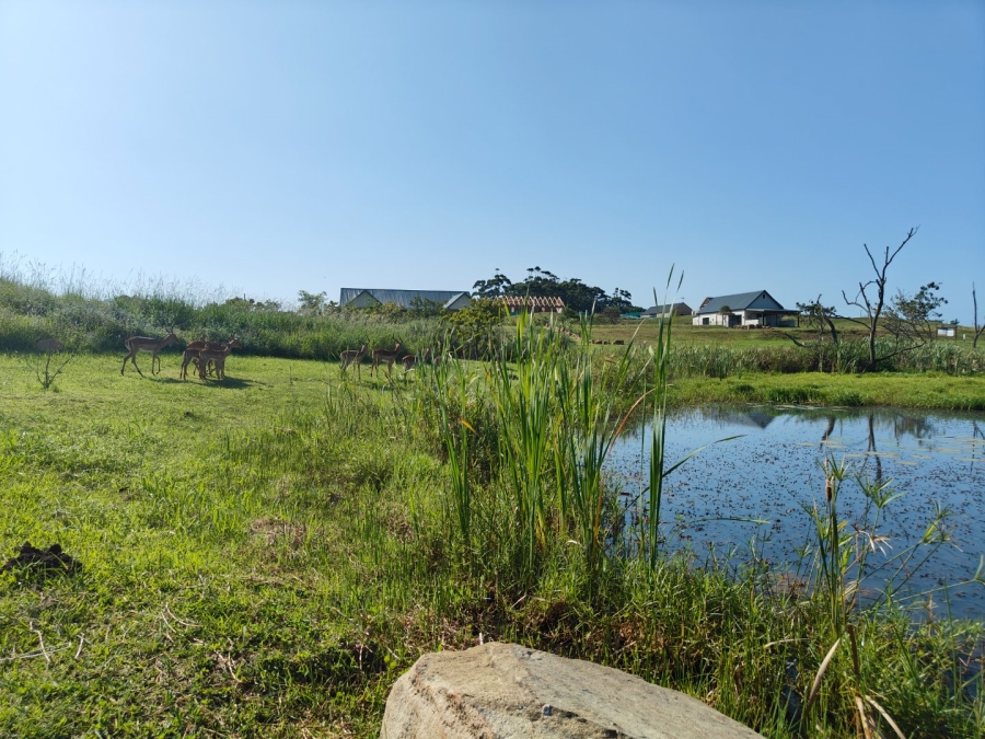 0 Bedroom Property for Sale in Springvale Country Estate KwaZulu-Natal